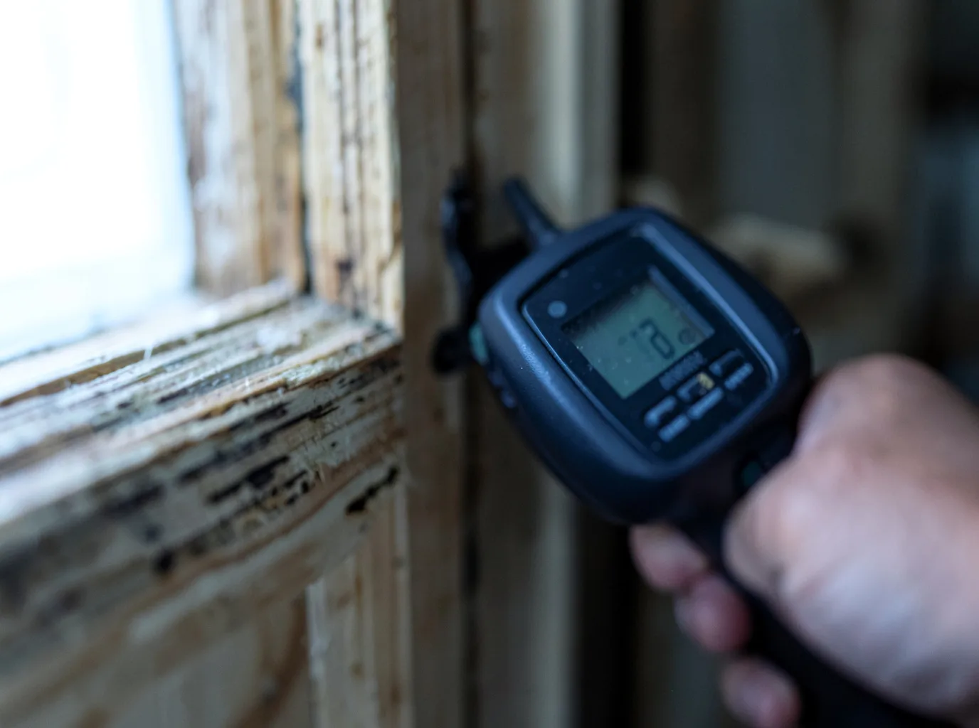 Moisture Inspection And Documentation in Big Rapids, MI